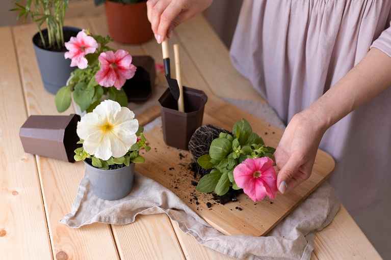 Guide to Making Your Own Garden Planter Boxes A Complete DIY Walkthrough