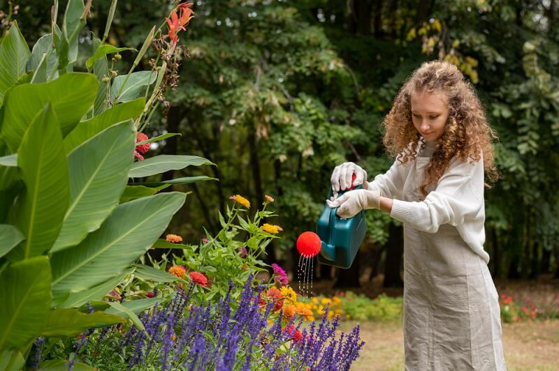 Tips for Growing Vibrant Flowers in Your Garden