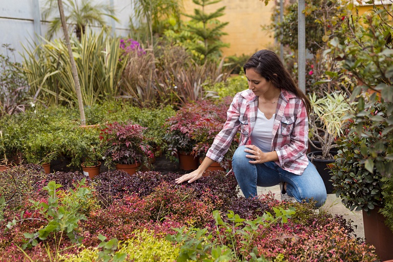 Sustainable Beauty The Environmental Benefits of Using Native Plants in Landscaping